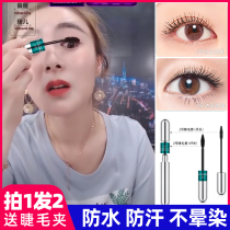 Mascara Li Jia recommends female waterproof non-smudging fine brush head extended encryption ultra-long fiber long curling base Qi