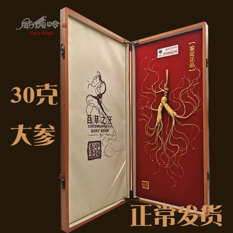 Weihu Ridge Wild Mountain Ginseng Jilin Gift Gift Box Ginseng Changbai Mountain Special production Tohoku Toyama Ginseng 30 gr Large mountain Courtesy Kit