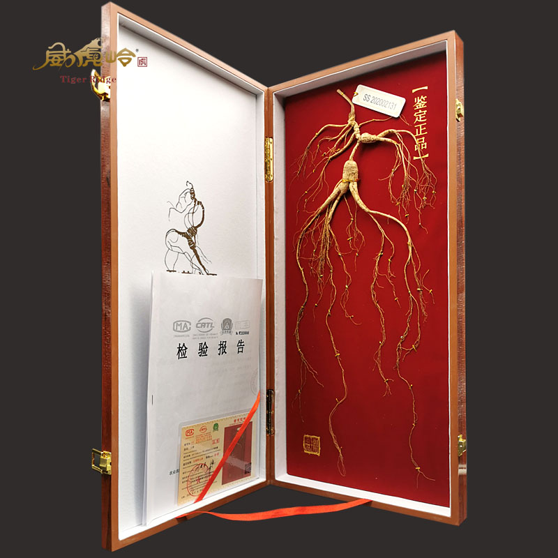 Weihuling Changbai Mountain ginseng national inspection special certificate wild mountain ginseng solid wood gift box old forest ginseng 30 years of wine
