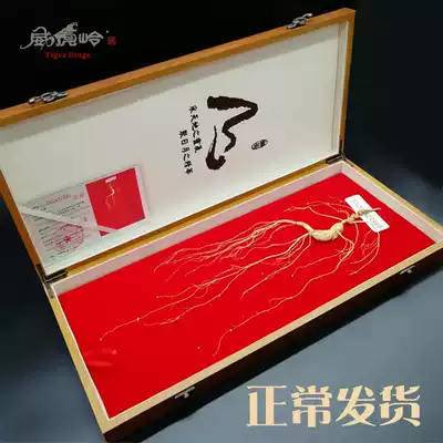 Weihu Ridge Ginseng Shunfeng Gift Box Wild Mountain Ginseng Changbai Mountain Shengshan Ginseng Northeast Special Gift Box