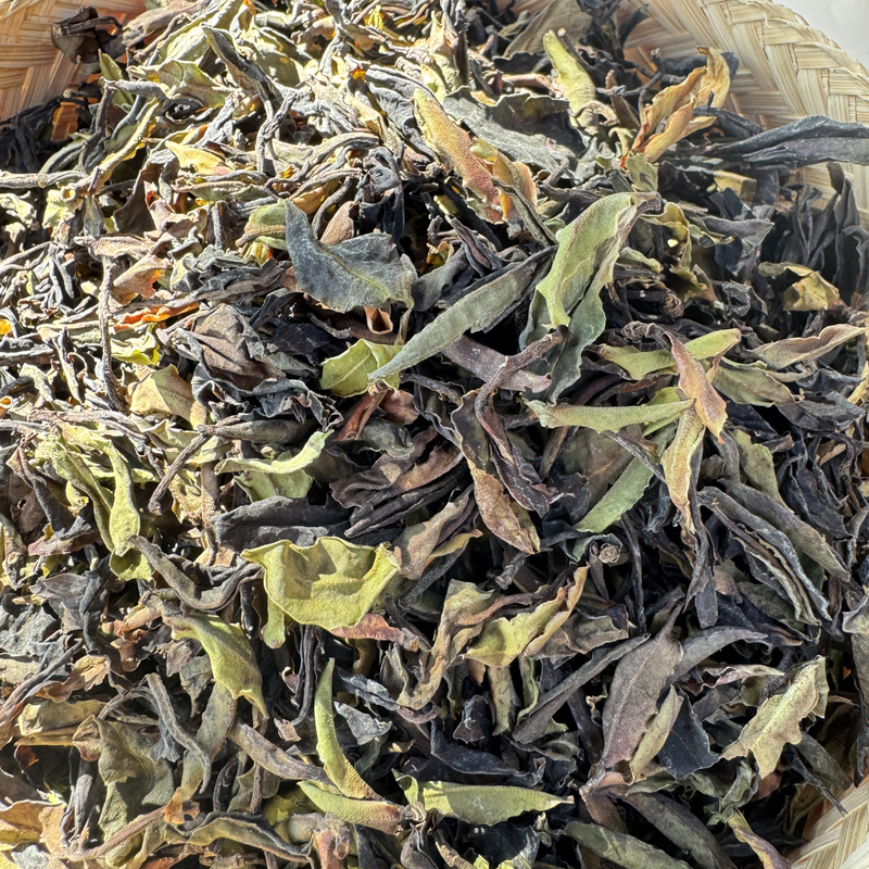2025 Ailao Mountain Secret Realm Wild White Tea (Sweet Tea)