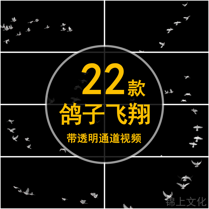 Peaceful White Dove Flock Flying Release Birds Alpha Transparent Channel Ae/Pr Post-Production Special Effects Dynamic Video Material Peaceful White Dove Flock Flying Release Birds Alpha Transparent Channel Ae/Pr Post-Production Special Effects Dynamic Video Material