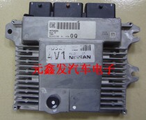 Novelty PEC022 01 4V1