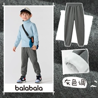 Серый тон [бархатная подкладка] -208424108108 [новая модель 24 года]