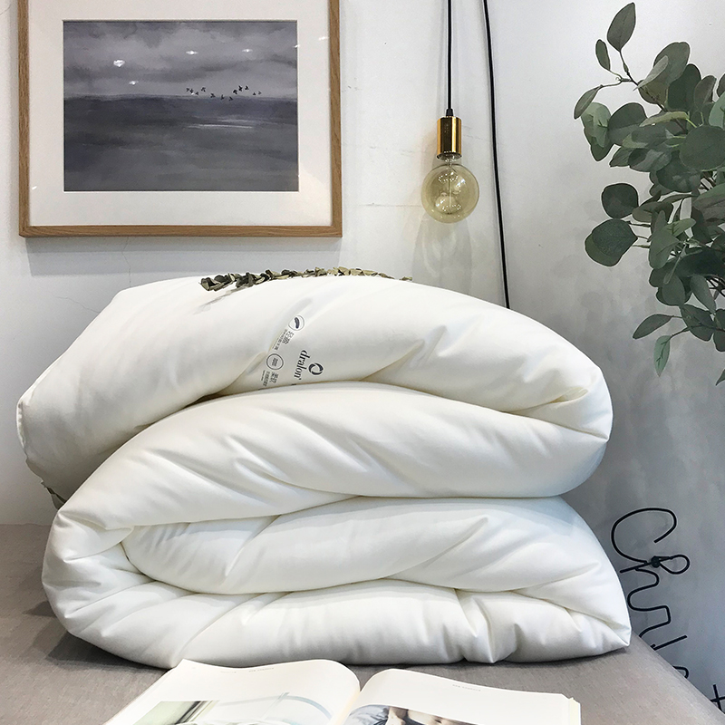 Autumn and winter soft antibacterial quilt core De Velvet black technology warm quilt thickened winter quilt double spring and autumn quilt core