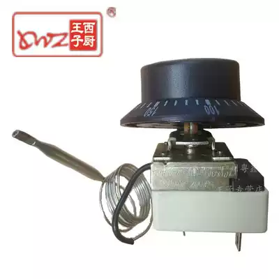 Thermostat Accessories 200 ℃ Temperature Control 200 Degree Thermostat Electric Braking Furnace Commercial