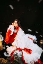 Non-promise Zhang Baizhi Tongxiu Hanfu Qi God Bird Bird shoing Бригады Pat Feather Great