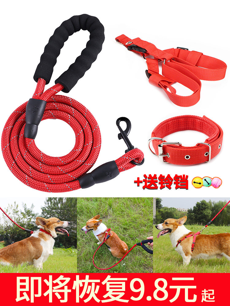 2 meters 3 meters long dog leash dog rope walking dog Teddy golden retriever pet large, medium and small dogs universal dog chain