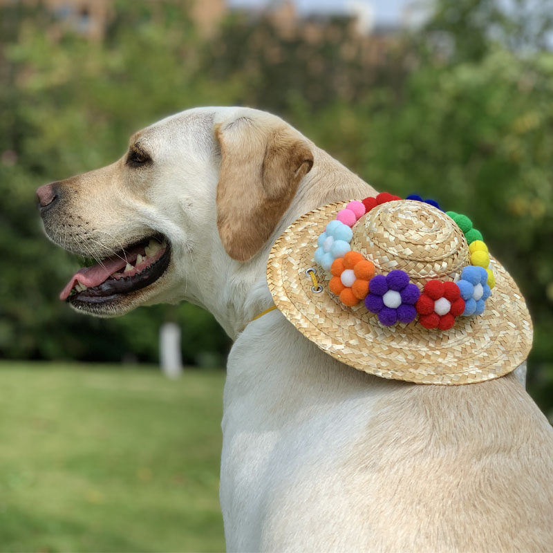 Large Dog Straw Hat Dog Hat Pet Straw Hat Large Dog Sunglasses Large Dog Necklace Summer Twist Straw Hat
