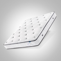 Medium-grid coconut palm latex Simmons mattress 1 5 meters 1 8m spring mattress coconut palm mat soft and hard soft cushion