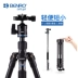 Chân máy ảnh BENRO IT15 IT25 Chân máy ảnh DSLR du lịch chụp ảnh chân dung cầm tay PTZ monepad - Phụ kiện máy ảnh DSLR / đơn chân đế điện thoại quay phim Phụ kiện máy ảnh DSLR / đơn