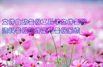 Document automatic backup tool documents backup data backup software timing backup system