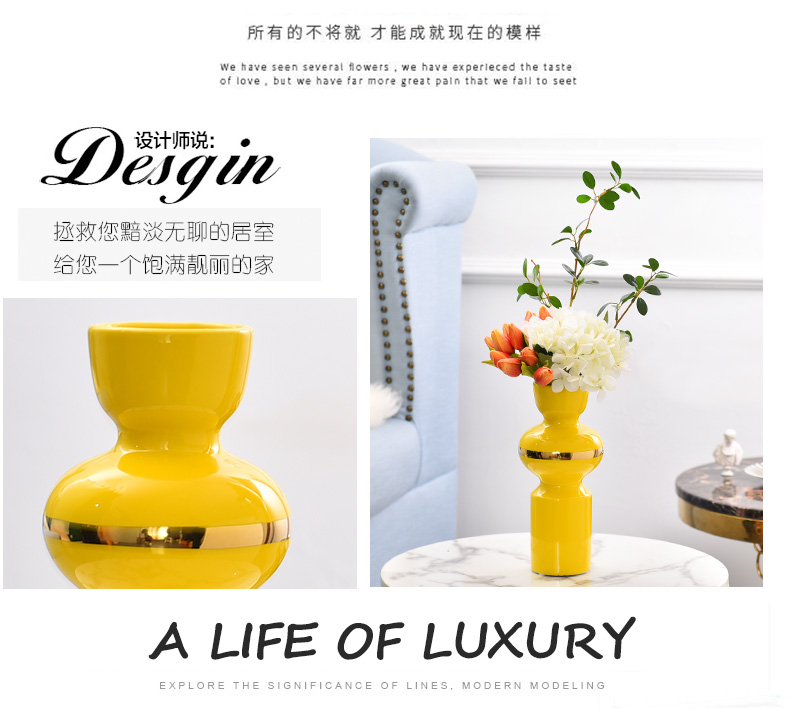 Light key-2 luxury ceramic vase floral wine TV ark, furnishing articles contracted sitting room creative fashion decoration H1003 shelf