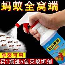 Ant artifact Mayi Pharmaceutical indoor killing kitchen bait remover is small in household net drive bed
