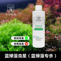 Water Grass Cryptography Blue Green Algae Remover fish tank aquarium except silk alga except hush algae except hairy alga