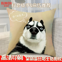  Husky Erha dog head pillow personality funny expression pack single dog cute cartoon cushion pillow male and female students