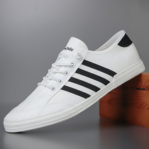 Summer ice screw shoes male breathable lazy shoes set foot shoes male plate shoes thin soles casual canvas small white shoes