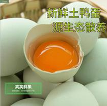 Fresh duck eggs raw duck eggs pure natural wild green-skinned duck eggs 10 pieces