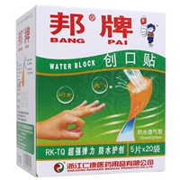   Pattern Anti -Delivery of Calcium 片 100 Таблетки из пиони наклеек, Liao Reatation об коже заповеднике