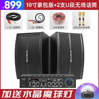 Беспроводной микрофон, 10 дюймов, 2 шт