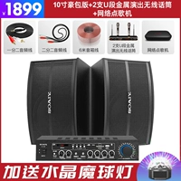 Металлический беспроводной микрофон, караоке, 10 дюймов, 2 шт