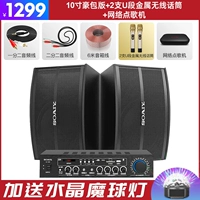 Металлический беспроводной микрофон, караоке, 10 дюймов, 2 шт