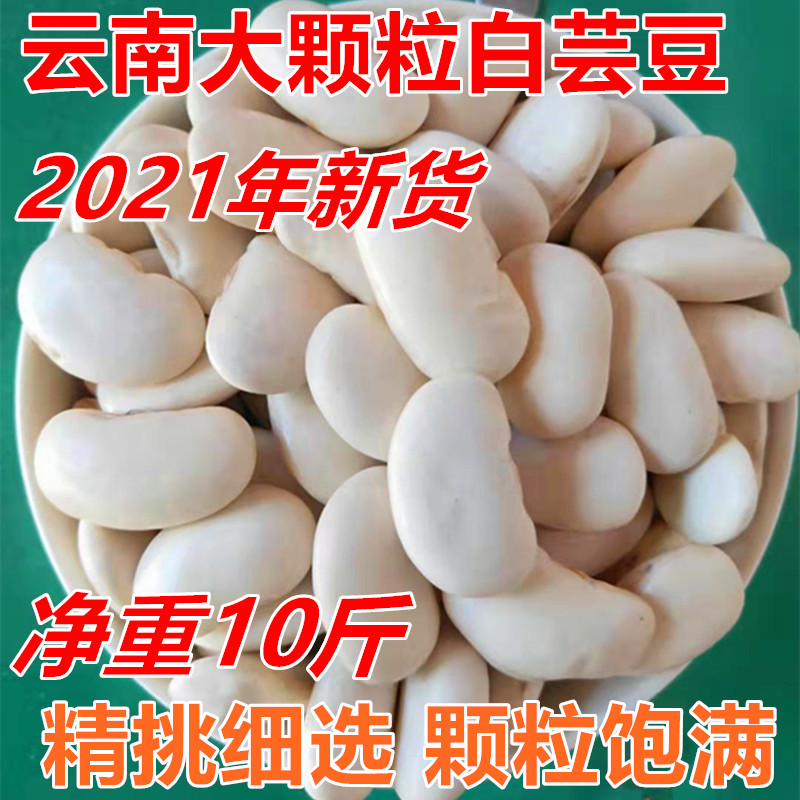 10 kg of Yunnan white kidney bean farmer self-produced dietary fiber baiyun bean fresh specialty large white kidney bean lentil waist bean