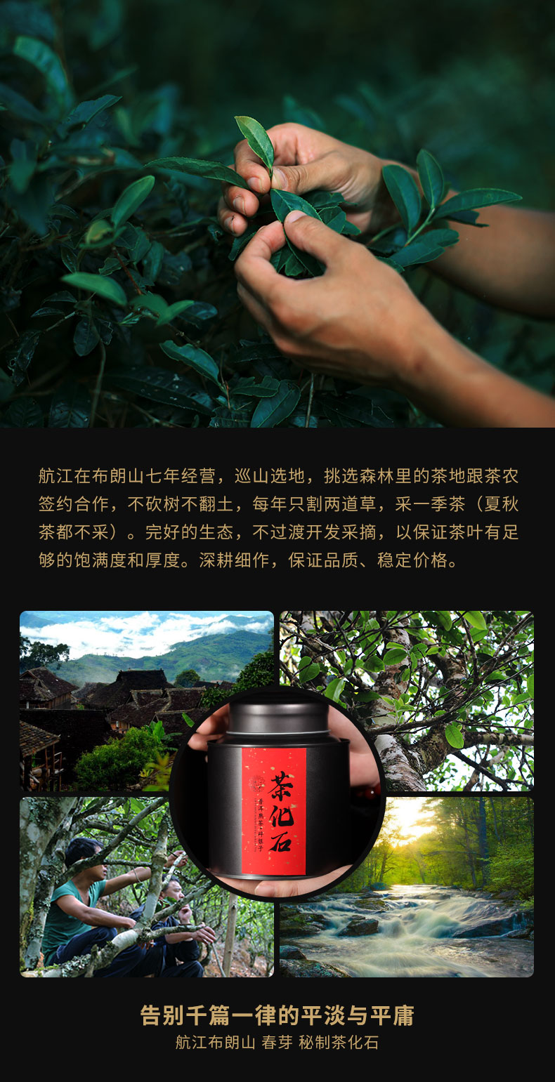 航江 三年老仓陈化 茶化石碎银子 400g/罐 图8