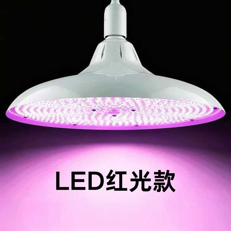 Enlarged Version of High-Brightness White Light Lamp 220V Red Light Lamp Warm Yellow Light Lamp Lighting Lamp Led Energy-Saving Light Bulb