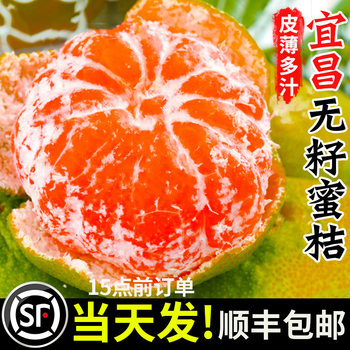 Sf delivers seedless tangerines to your doorstep 9jin jin is equal to 0.5kg