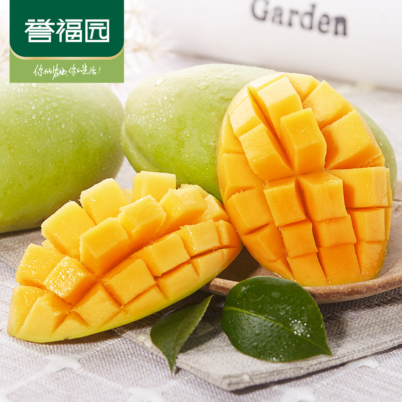 誉福园 越南进口玉芒 9斤大果 天猫优惠券折后¥29.8包邮(¥44.8-15) 誉福园 越南进口玉芒 9斤大果 天猫优惠券折后¥29.8包邮(¥44.8-15)