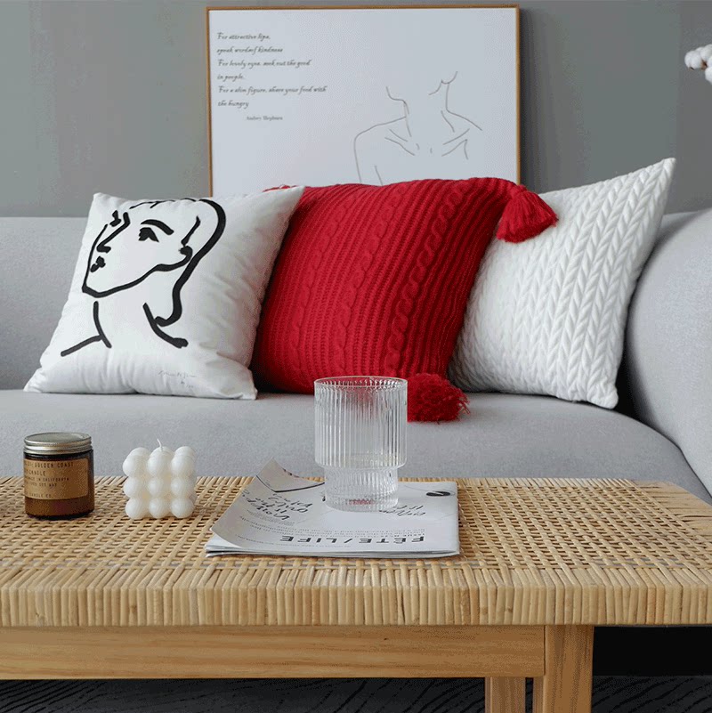 Wild behemoth style Pillow Mattis Morocco leaning on the bag black and white leaning against the pillow red cushions sofa backrest