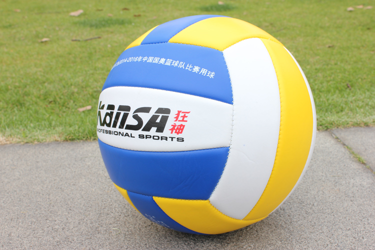 Ballon de volley - Ref 2016699 Image 3