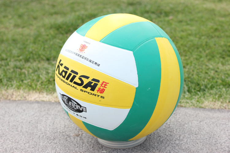 Ballon de volley - Ref 2016700 Image 9