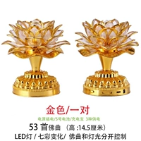 Классическая 53 Золотая лампа (одна пара) -A27