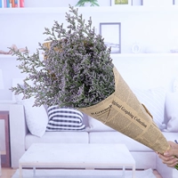 Трава любовника без вазы