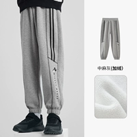 Средняя конопляная пепела [мальчик] плюс бархат