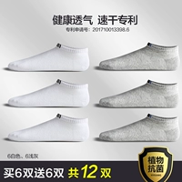 [Антибактериальный кончик цветок 12 двойной двойной упаков