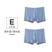 E Group
