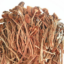 Tea tree mushroom dried tea new mushroom tea tree ice mushroom edible mushroom soup more than 250 grams province