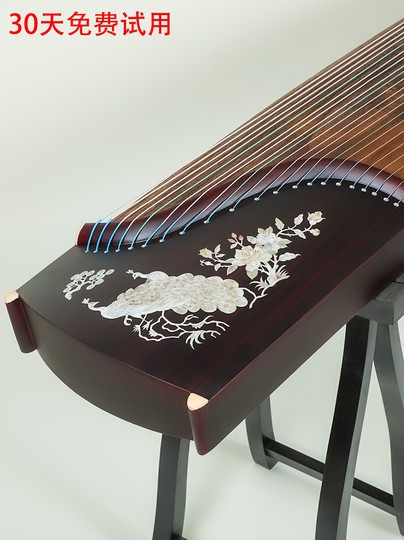 163 Standard Guzheng for Adults, Beginner Guzheng for Home Use, Professional Grading Instrument, Tuned and Ready to Play Upon Delivery