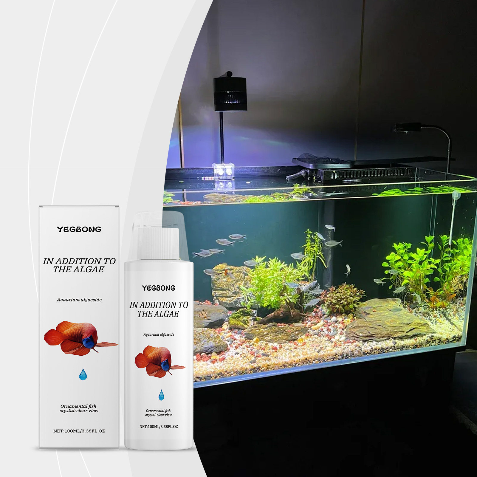 Special setups: planted, shrimp, and reef tanks