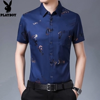 Тибетская буква 952 буква