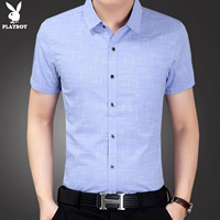 015 Синяя звезда