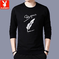 Серебряные перья не добавляют бархат