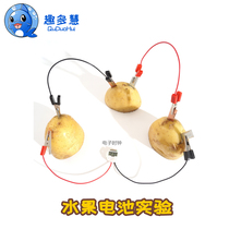 Fruit battery Potato power generation Technology small production Invention Science experiment Kindergarten students diy handmade materials