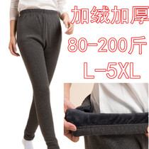 Autumn winter plus suede thickened warm pants woman 200 catty MM gattening extra-large code High waist beating underpants Autumn pants cotton wool trousers
