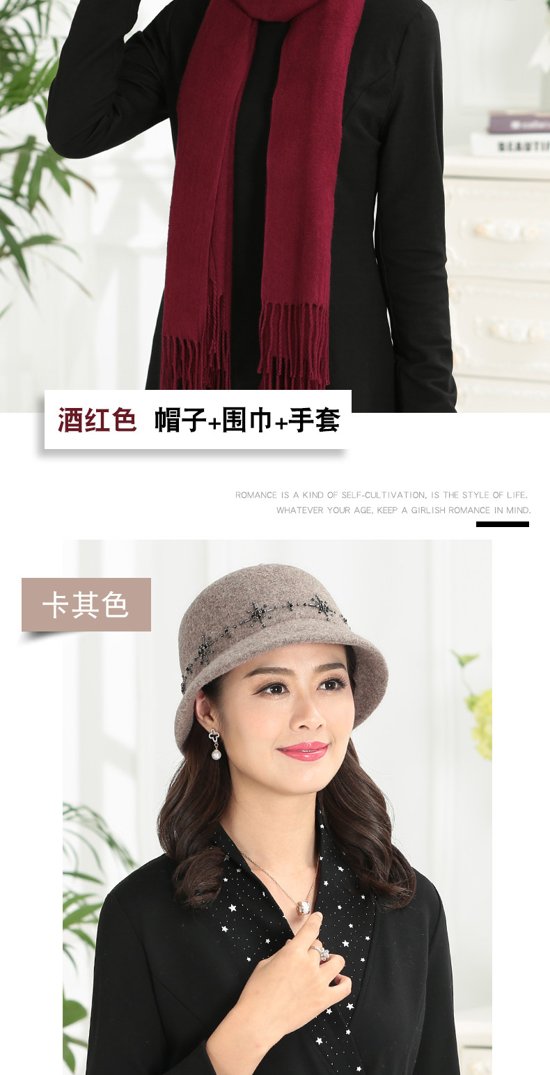 Chapeau pour femme en Melange de laine - Ref 3233470 Image 15