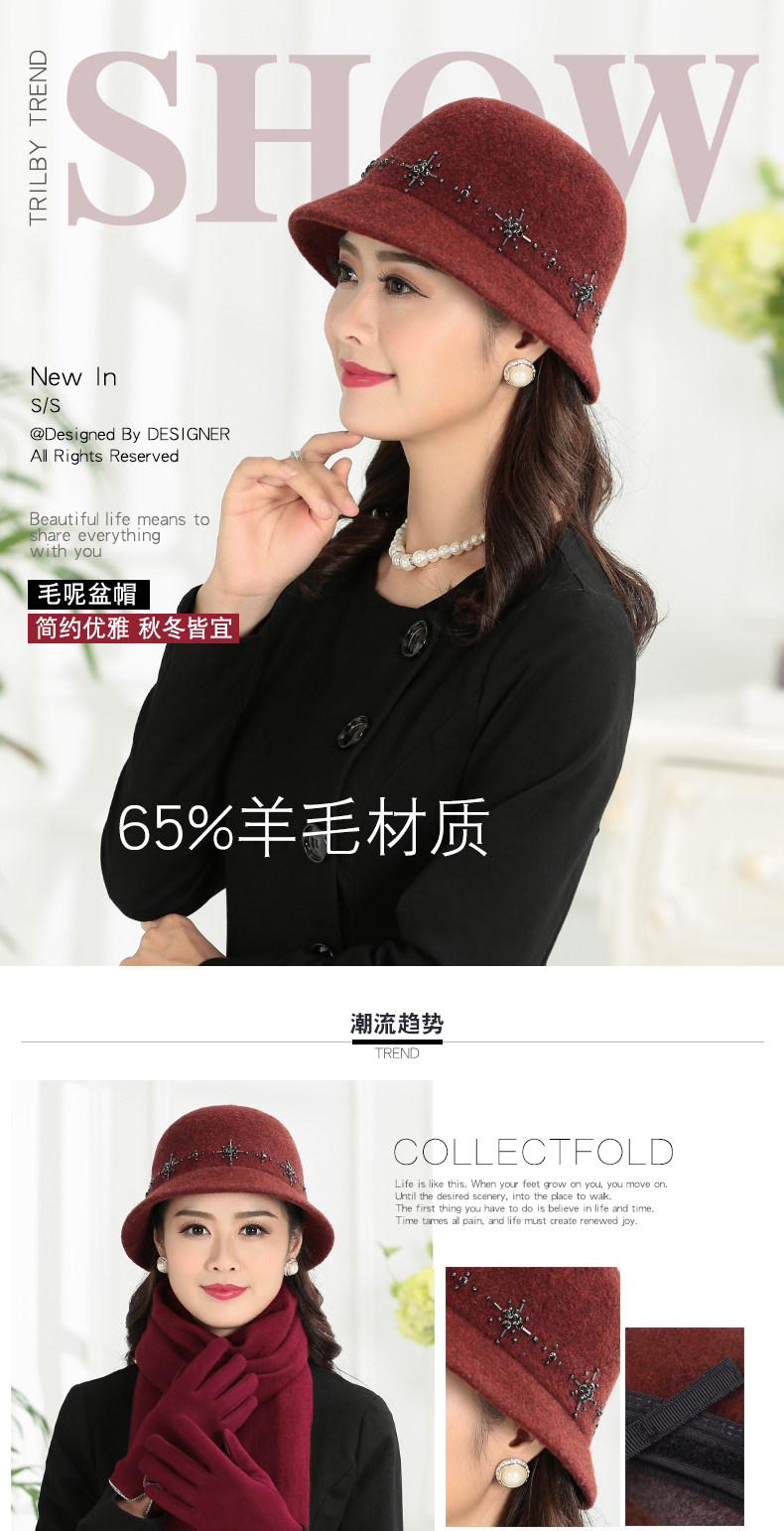 Chapeau pour femme en Melange de laine - Ref 3233470 Image 6