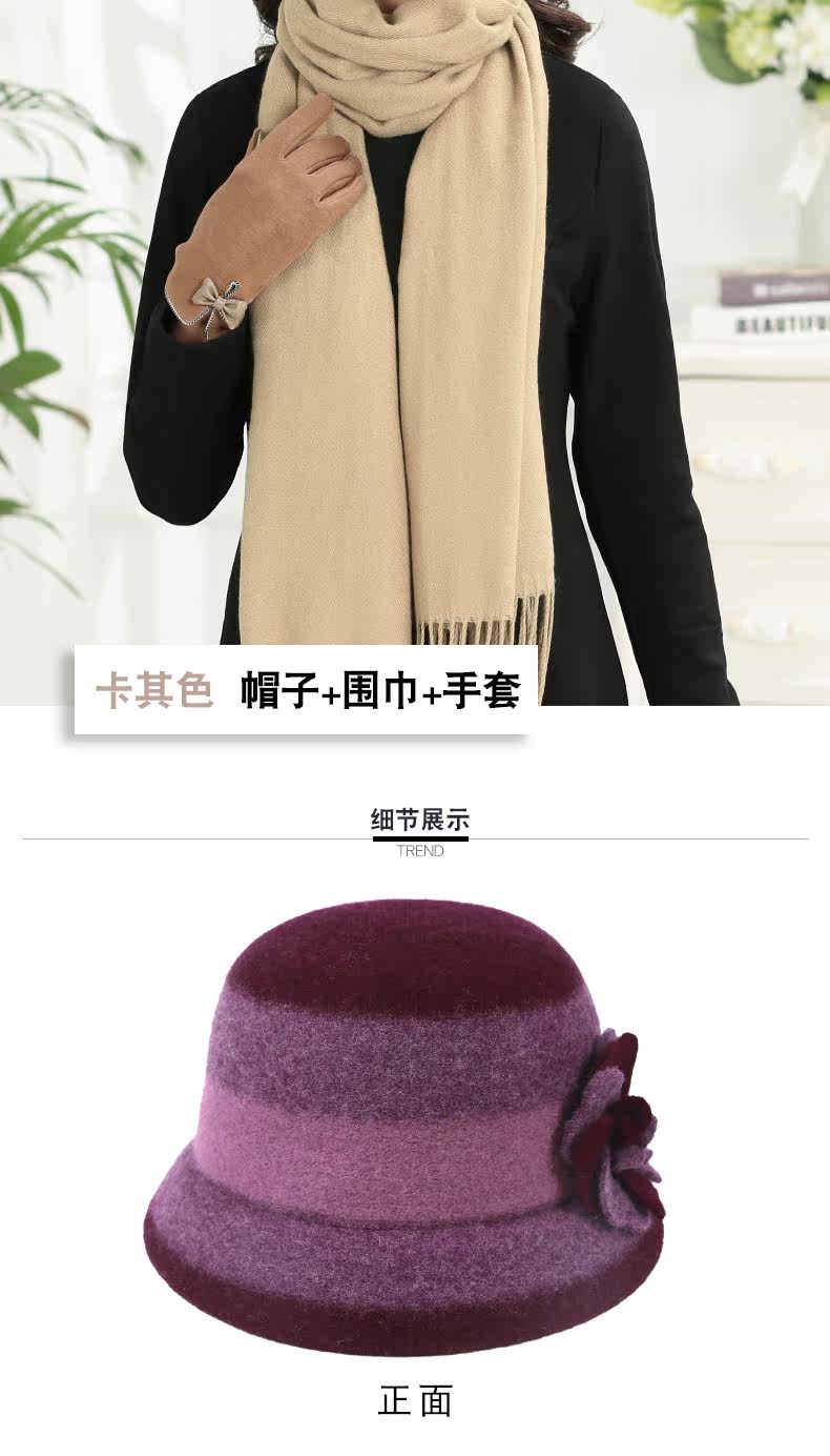 Chapeau pour femme en Poilue - Ref 3234022 Image 19